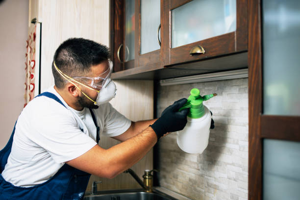 Best Insect Control  in Center, TX
