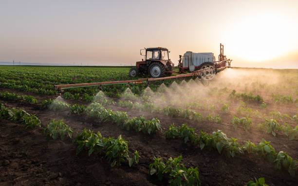 Best Pest Control for Homes  in Center, TX