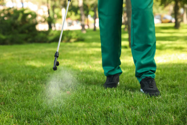 Trusted Center, TX Pest Control Experts